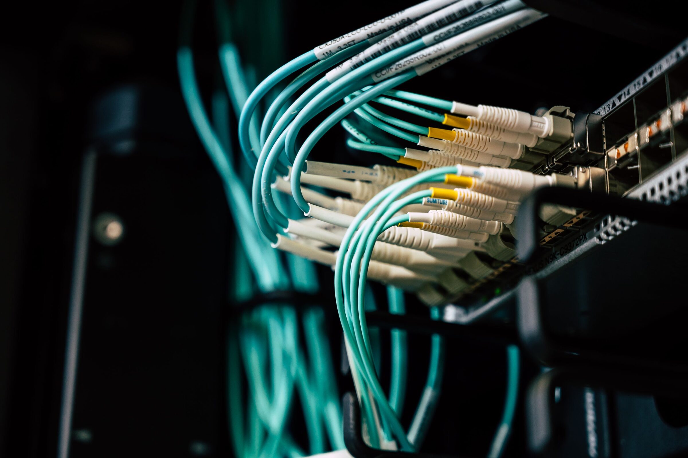 Cabos de fibra óptica conectados a um patch panel de rede.